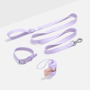 Waterproof Collar + Lightweight Leash Walk Kit