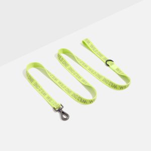 Lightweight Dog Leash