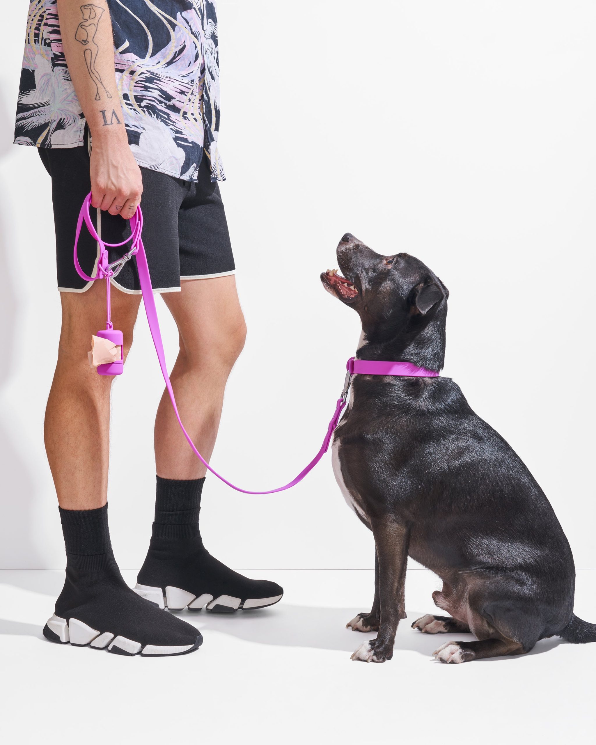 Waterproof Dog Leash - Image 20