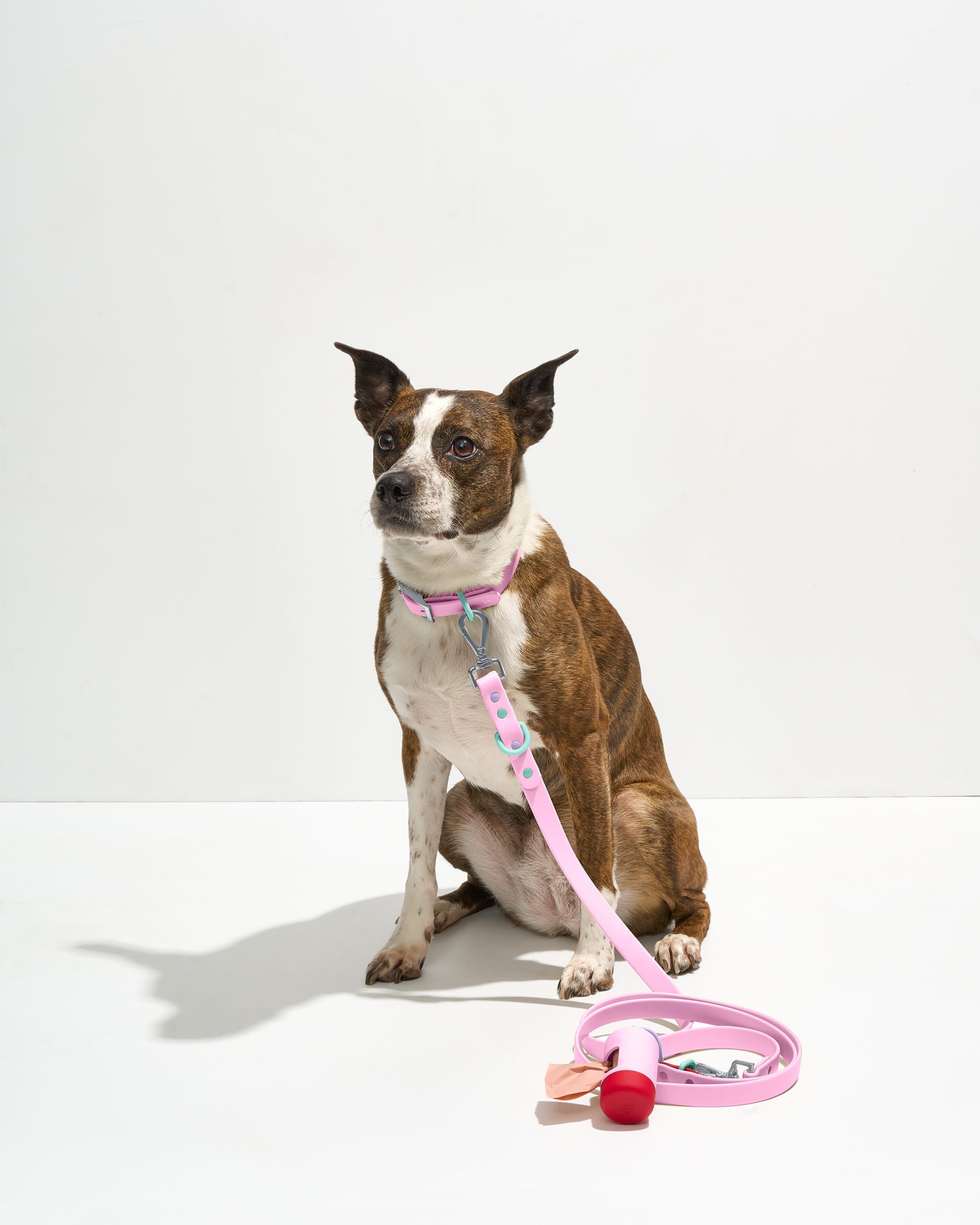 Waterproof Collar + Waterproof Leash Walk Kit