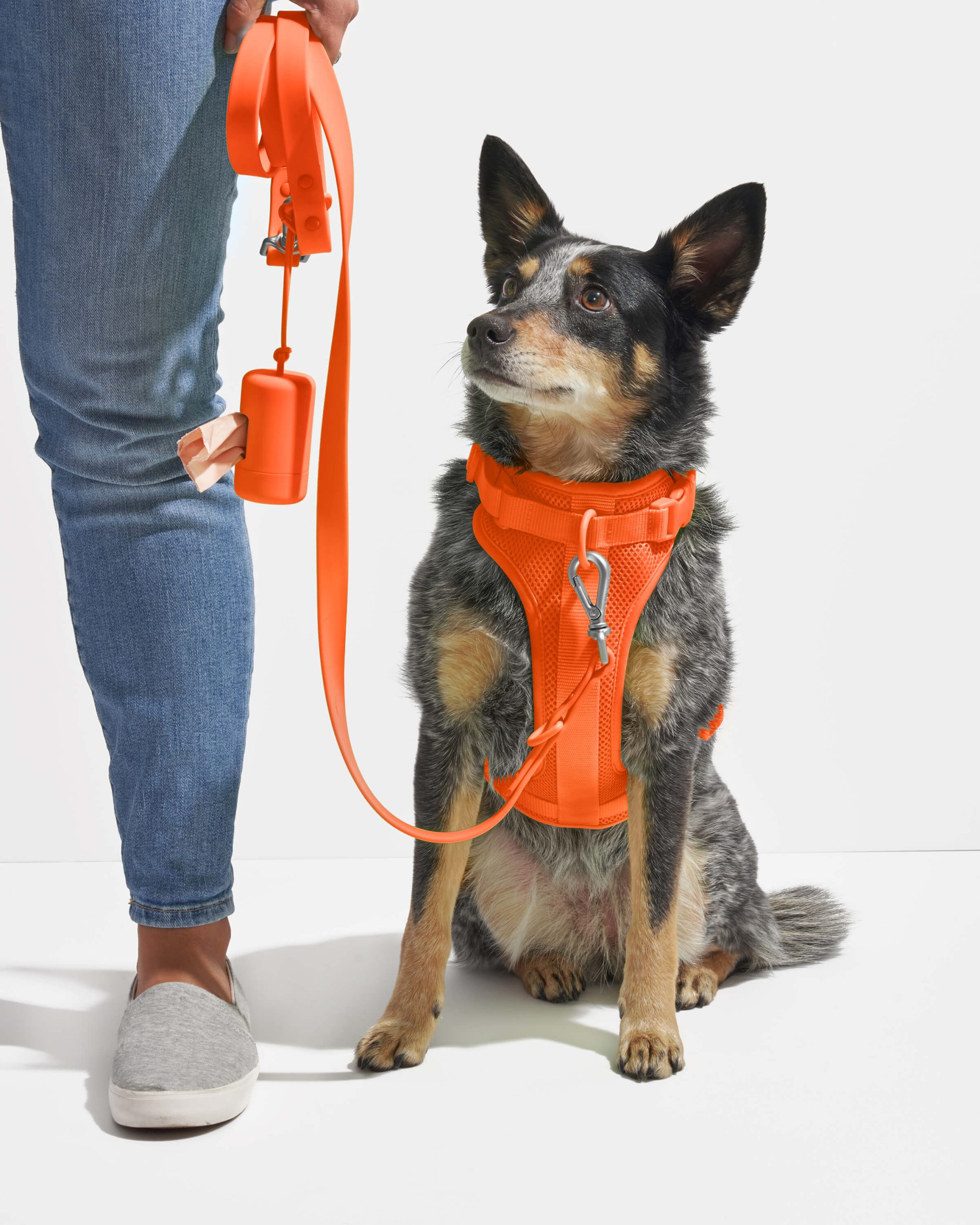 Poop Bag Carrier - Image 22