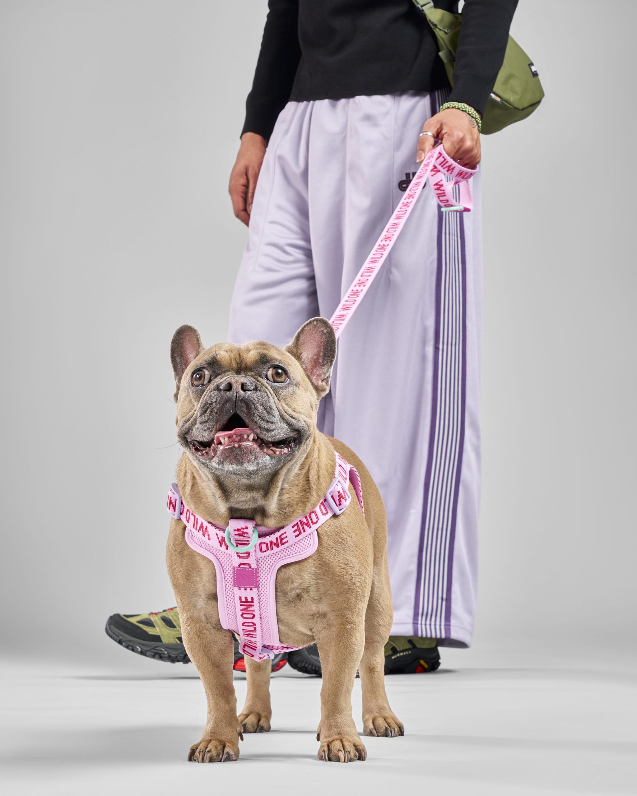 Step-In Dog Harness - Image 15