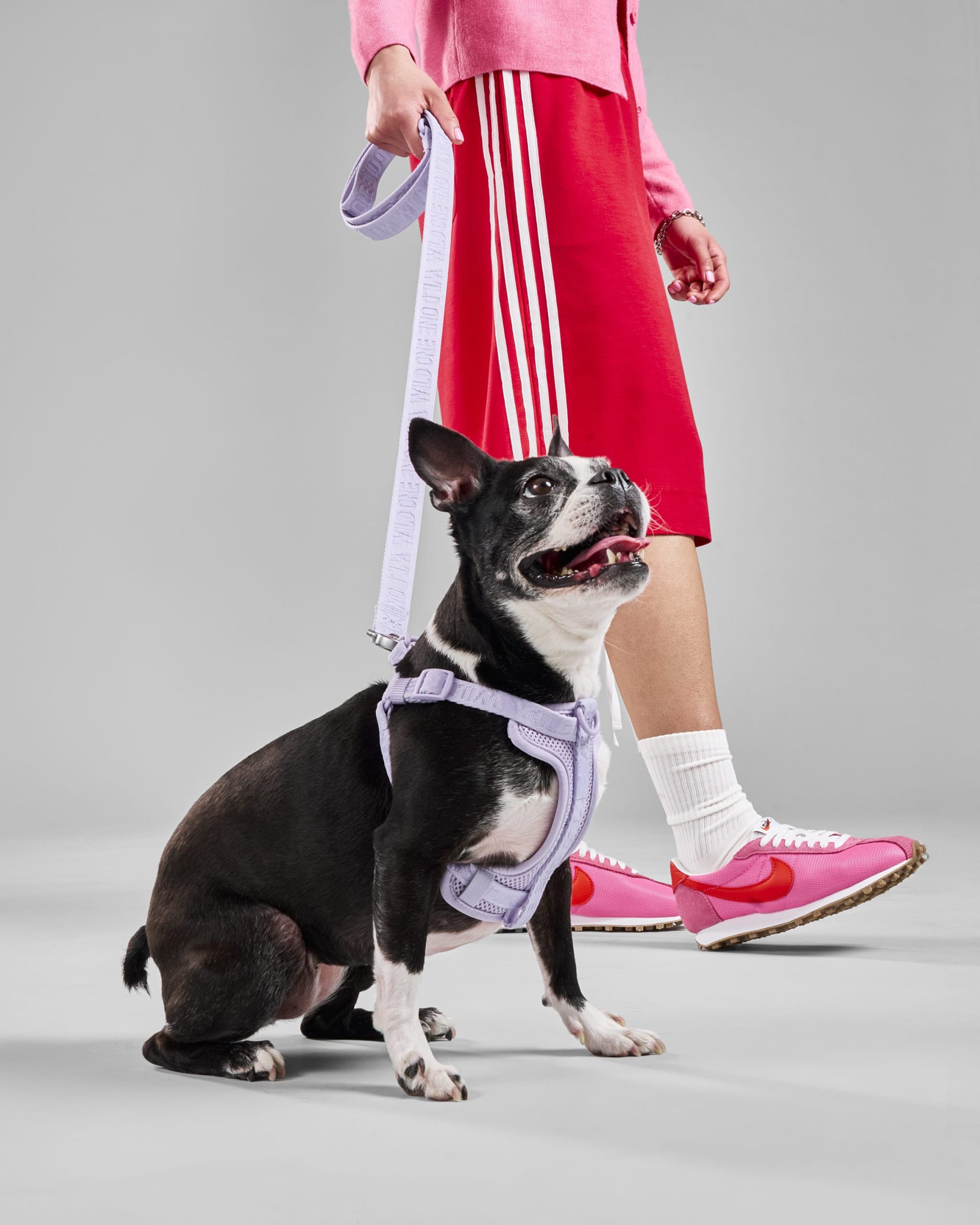 Step-In Dog Harness - Image 29